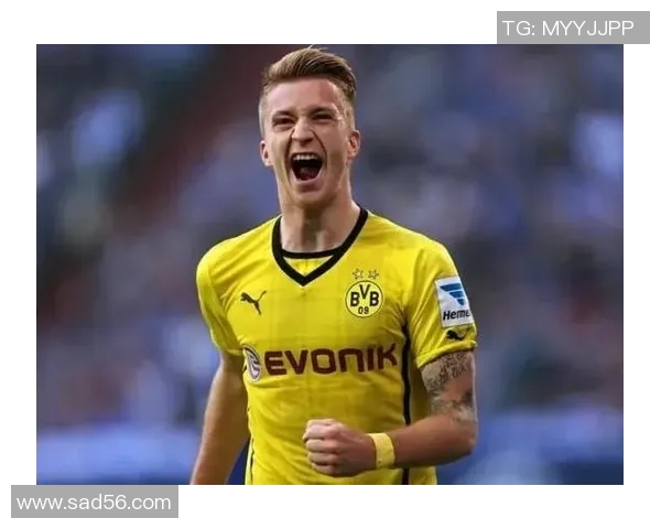 足球球星pin的成长历程与辉煌成就深度解析